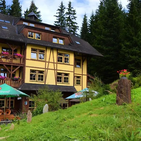 Hotel Hotel Modrava