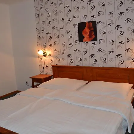 Hotel Modrava モドラヴァ