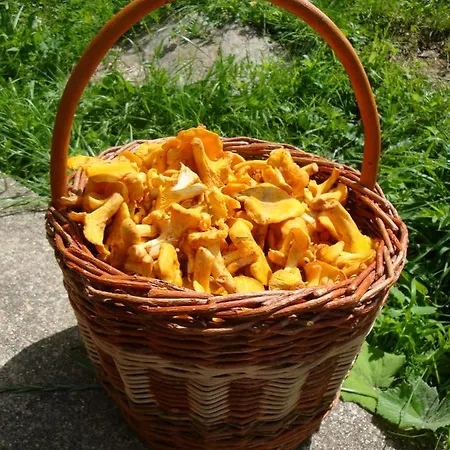 Hotel Hotel Modrava 3*