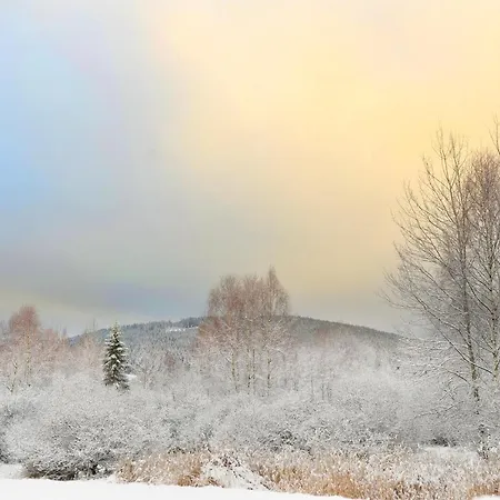 Hotel Hotel Modrava Modrava