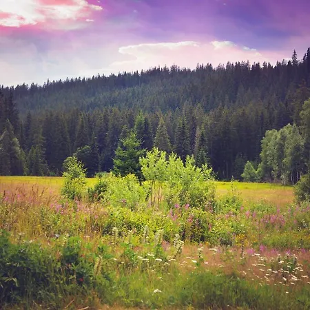 Hotel Modrava 3* Modrava