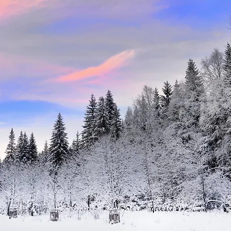 Hotel Modrava Hotel Modrava