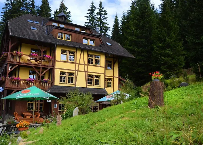 Otel Hotel Modrava