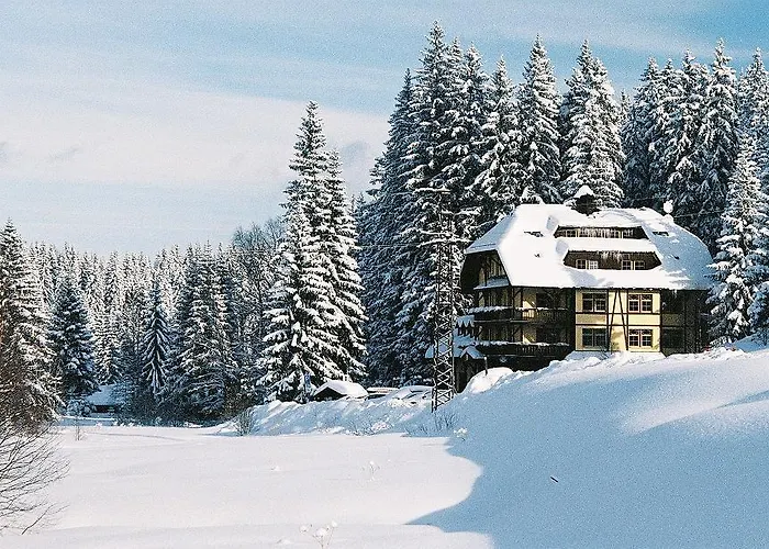 Hotel Modrava